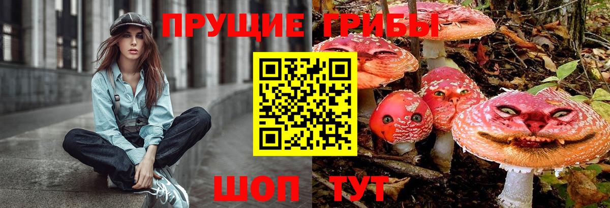 цена   Вход с VPN  Ноябрьск  Псилоцибиновые грибы GOLDEN TEACHER 